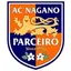 Nagano Parceiro